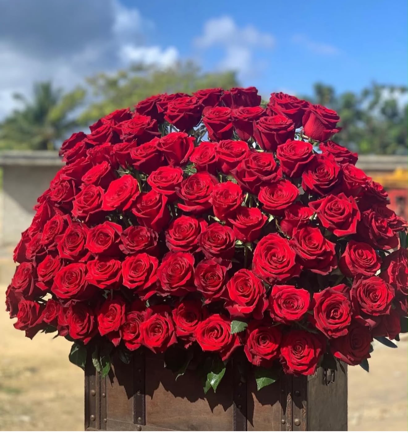 Ramo monumental de rosas rojas